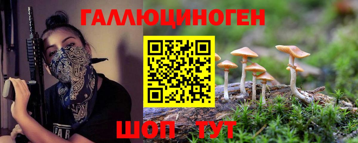 ГАШ Нижневартовск