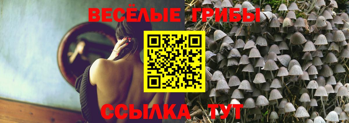 Галлюциногенные грибы Cubensis Нижневартовск