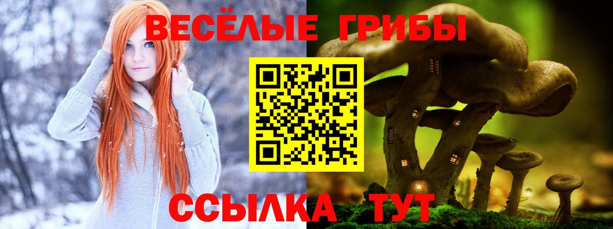 Нижневартовск  Псилоцибиновые грибы Psilocybe  Псилоцибиновые грибы Psilocybe  Вход с VPN 